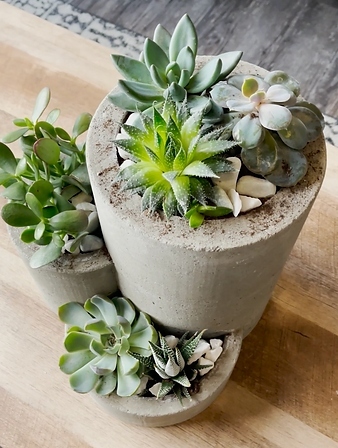 Using the FROGWire™ to Create a Concrete Planter